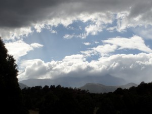 SAMSUNG CAMERA PICTURES