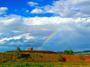 SAMSUNG CAMERA PICTURES